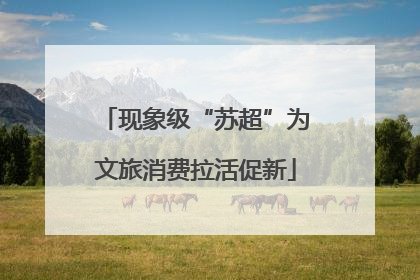 现象级“苏超”为文旅消费拉活促新